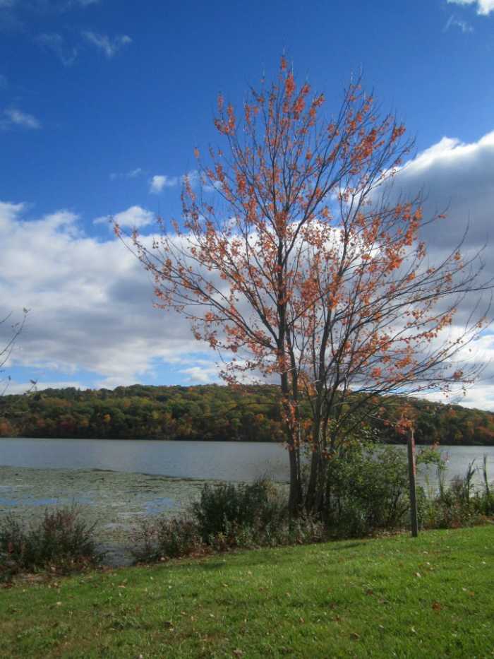 The lake I live by in Port Ewen, NY. Unfortunately, the day I went looking for my egg was not so nice!