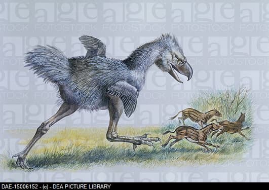 A phorusrhacos leaps out of cover to hunt the small horses while being watched by Half Tooth.