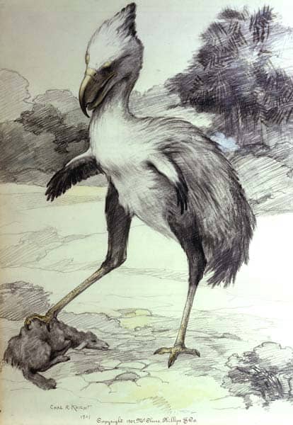 On the isolated continent of South America, flightless predatory birds thrived long after becoming extinct elsewhere.