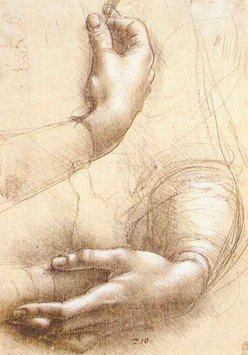 Study of hands by Leonardo Da Vinci - Silverpoint and white highlights on pink prepared paper - circa1474