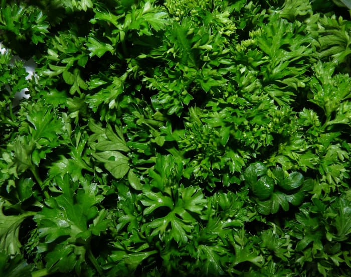 Try experimenting with different tastes. Finely chopped parsley, chives, basil or cilantro taste great with this recipe. You can also use dried oregano or dried chives.