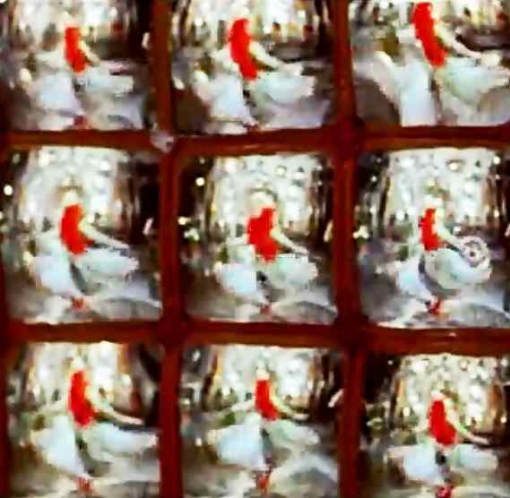 Madhubala in Pyar kiya to darna kya....: An exceptional picturisation that fuses beauty, dancing, music and acting with history and architecture to a create a piece of art.