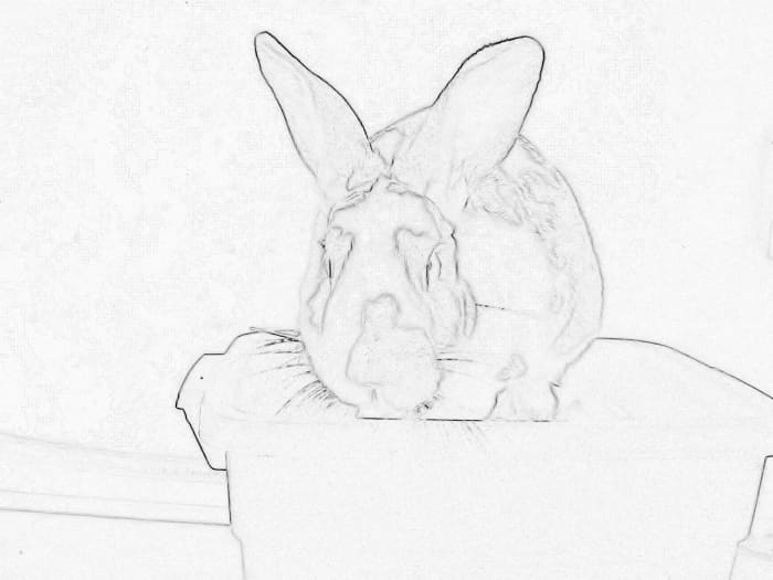 Coloring page created with Paint Shop Pro.