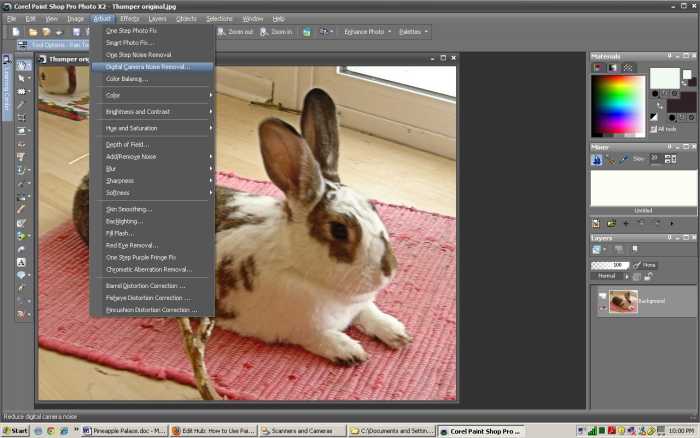 The digital camera noise removal option is located under the Adust menu.