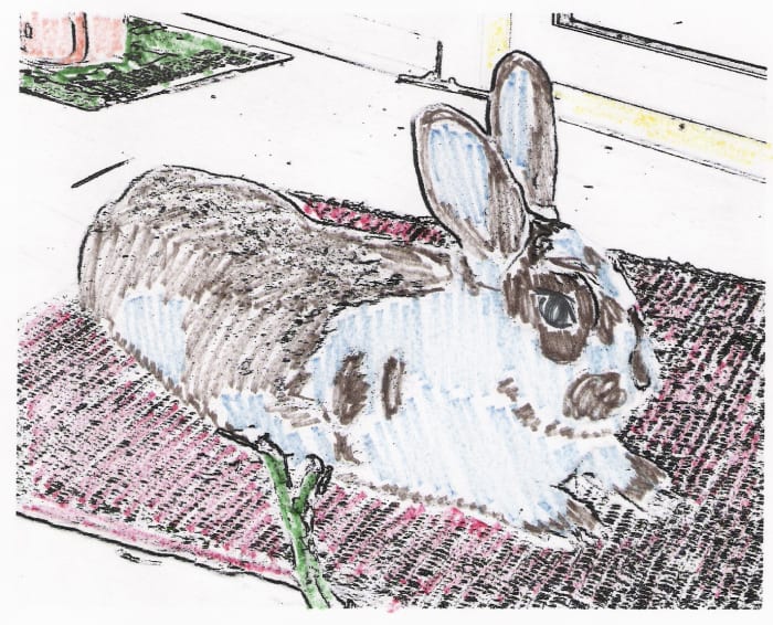A coloring page made from a photo