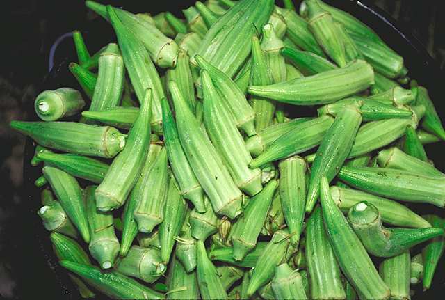 facts-health-and-nutritional-benefits-of-okra