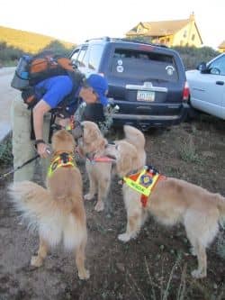 Canine Handler, Cindy, and three of her Golden Retriever area search dogs, getting ready to search for a missing child