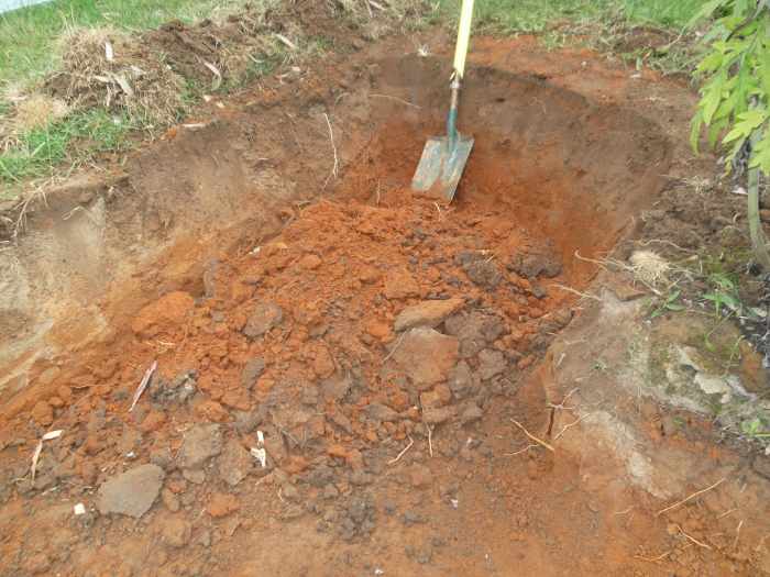 We have begun digging into a gentle slope at the back of our house, It provides us with our building materials (soil and clay) and we are simultaneously creating a courtyard. lol.