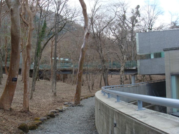 Perspective of the access walkway, and the contention wall that drives down to host most of the building.