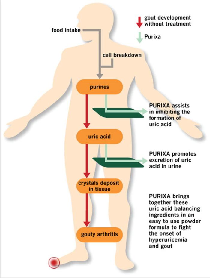 Diet plays an important role in the production of purine and uric acid production. Blocking uric acid production or promoting its excretion is the main objective of gout medications and natural supplements like Purixa.