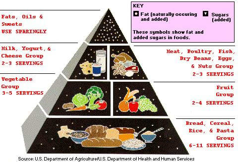This food pyramid shows the basic food groups and how much consumption is required for a healthy diet.