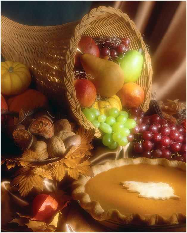 250 Thanksgiving Pictures and Images - HubPages