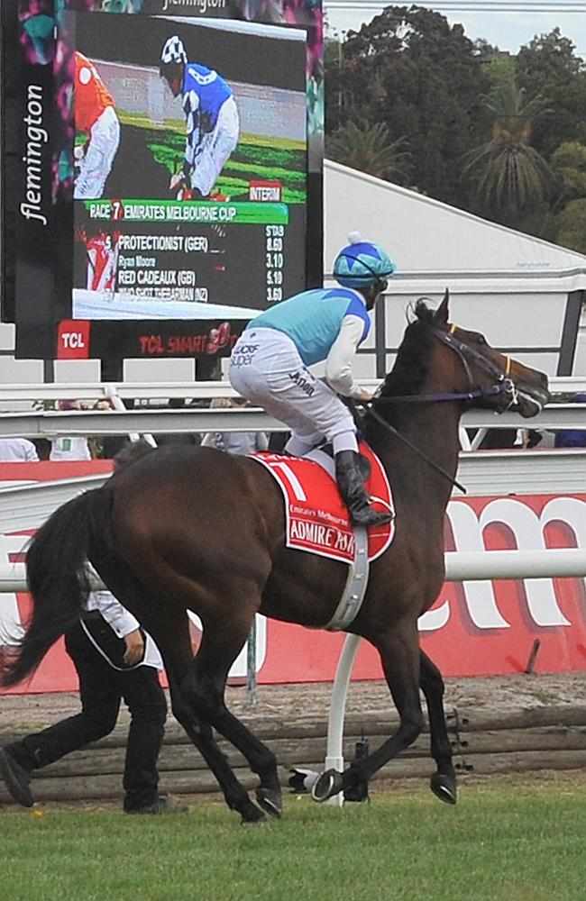 Horse Racing Is This the World's Most Dangerous Sport? The Melbourne