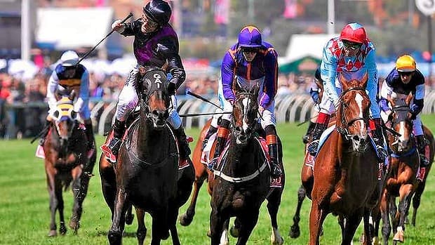 Fiorente defeats Red Cadeaux and Mount Athos to win the 2013 Melbourne Cup.