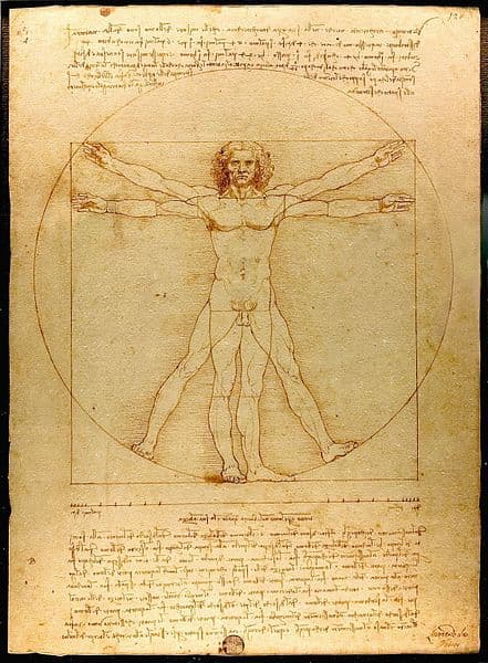 The Vitruvian Man, drawing by Leonardo da Vinci. So named for the Roman architect, Vitruvius, it described how the human body could be the basis for a system of proportions. An example of High Renaissance harmony.