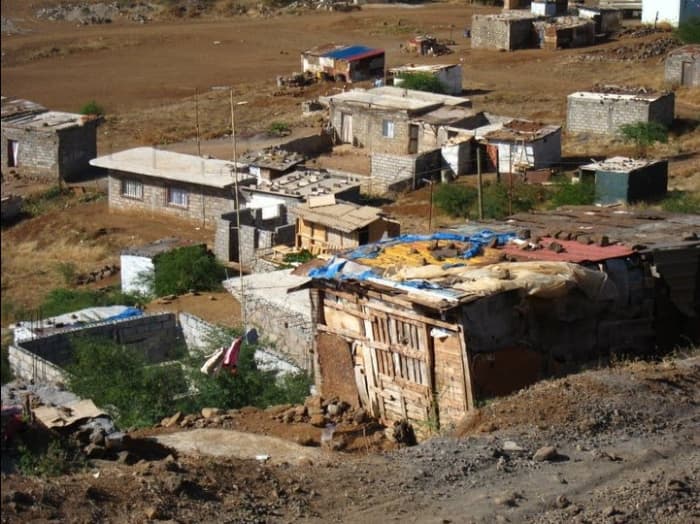 Cape Verde, Poisonous Spiders, Snakes, Insects, Bugs and Dangers on the ...