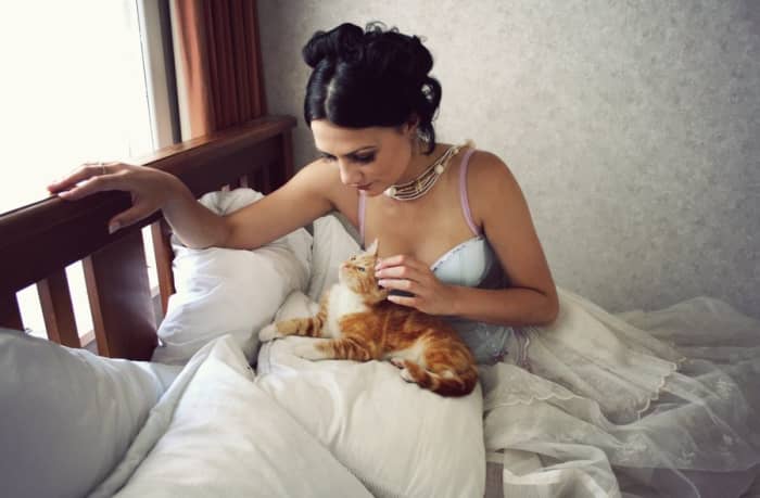 Cats are a great comfort to many people, even known to lower blood pressure.