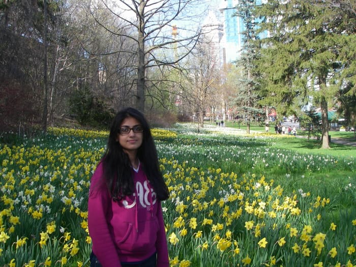 Early spring flowers in the sprawling gardens with visitors walking on the pedestrian path in the far background.