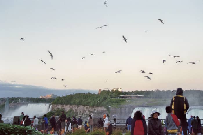 A view of the American side from the Canadian side shows few high rise buildings only at a distance from the falls.