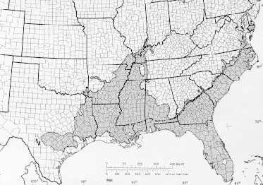 The native range of the Bald Cypress extends through southern and eastern parts of the United States. Some maps extend its range to include areas of the heartland and mid-atlantic states as well. It can be found throughout the U.S. in landscaping.