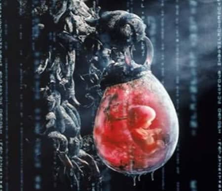The Matrix premise relies heavily on the nonsense concept that machines are using human beings raised in a synthetic womb to derive their vital electrical power.