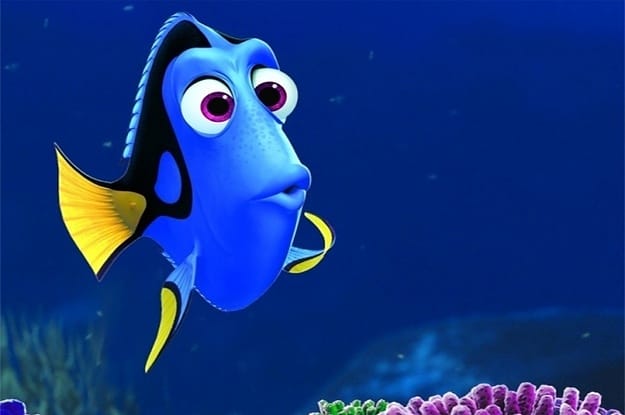 If you are one of the few people who have not seen this movie yet, I highly recommend it. It is called Finding Nemo. They even have a second one out now called Finding Dory.