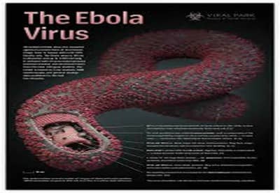Looking back I believe this was probably the right decision because the children now understand that if the Ebola Virus made it to our shores they could take precautions to prevent becoming infected. I can see that, for them, the fear of an unknown