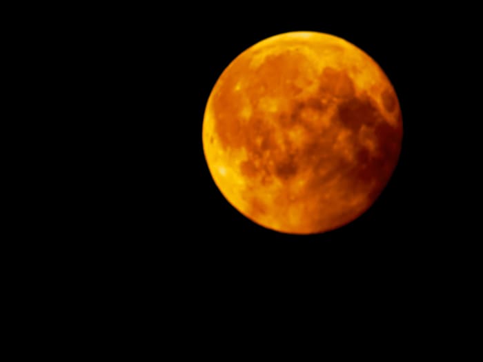 Connected to the moon, she will enjoy you spending some time moon gazing, no matter what phase it is in.