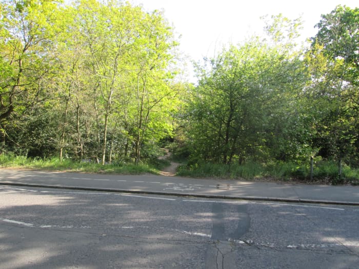 Or here's another way in opposite a short road interestingly named 'The Forest', more interestingly leads to Forest School, a fee-paying establishment that parents hope will fast-track their little darlings to a financially rewarding career