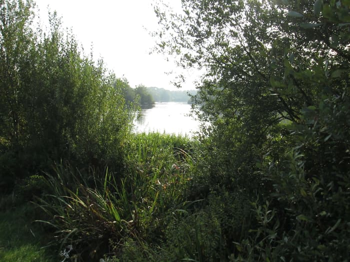 Looks like we've taken a wrong turning here... But no, that's the Hollow Pond ahead, turn right....