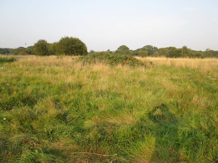 This view, taken towards the north of the area shows a bit of the breadth of the open area. It takes about twenty minutes of unhurried walking to do the length along the A114 Whipps Cross Road