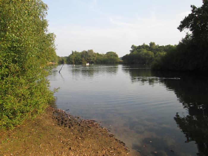 Looking along the largest of the 'Hollow Ponds' , north to south (and after a walk around it), you realise it's a lot more than a pond. Then you see...