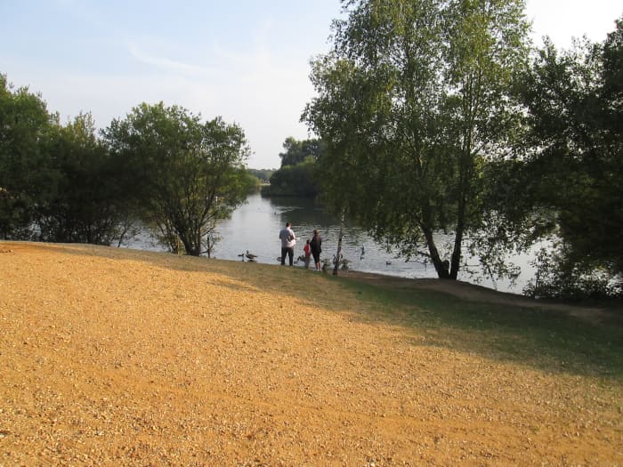 A family at the waterside feeds ducks, geese and swans. There's a broad range of waterfowl on this lake that hangs around for the handouts, (welfare state for birds)