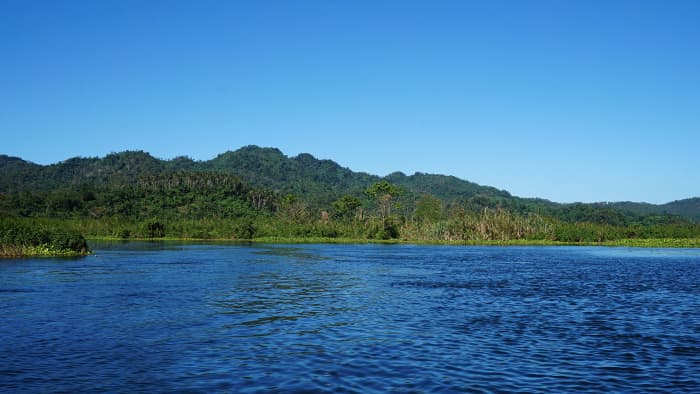 Naujan Lake is bounded by four Oriental Mindoro municipalities: Naujan, Victoria, Socorro, and Pola.