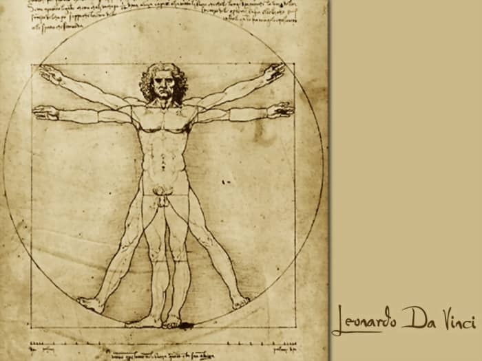 This work represents the foundation of Western renaissance thought about the idealized human form being the pinnacle of beauty.