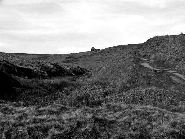 the-humor-in-chapter-three-of-wuthering-heights