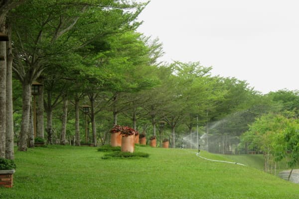 Verdant space with lush shady trees and ever-green lawn offers a pleasing atmosphere for you to relax