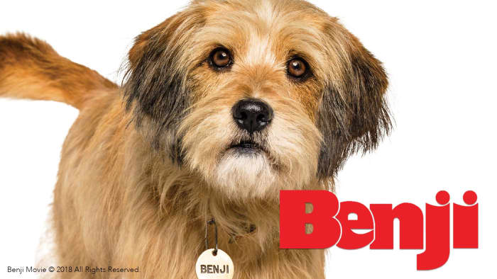 Benji (2018) Film Review - HubPages