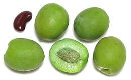 A kidney bean used as a gauge for size of this beautiful castelvetrano olive. These buttery crunch olives are known to make even the biggest olive haters believers.