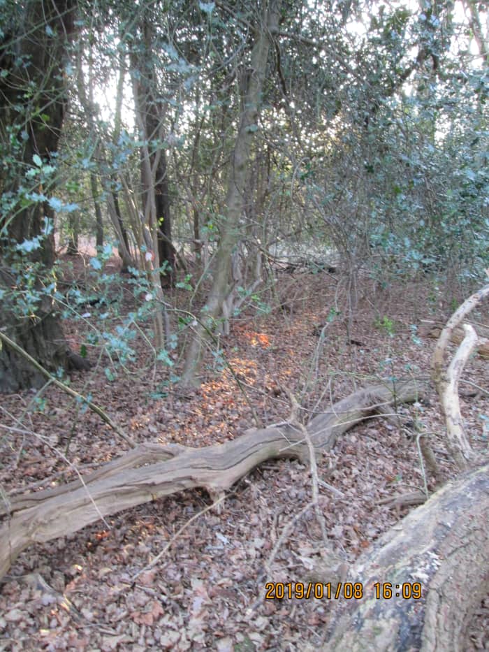 Highwaymen skulked in the area by the Epping road to 'make a living from passing trade'. I've mentoned it before, Richard 'Dick' Turpin made this his hunting ground before fleeing north - only to be arrested for horse theft near Doncaster inYorkshire