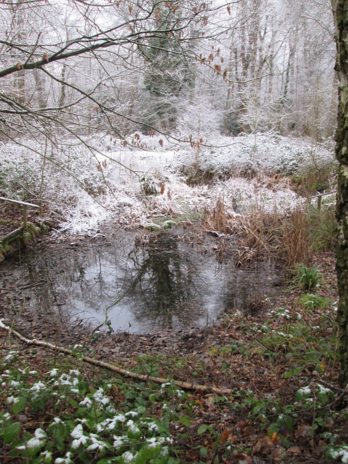 Cold pools warn of soft, giving earth. You don't want to be knee-deep in this, however pleasant the background looks!