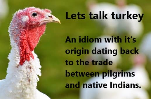 Turkeys are synonymous with the telling of the history of America's pilgrims and their relationship with native Indians.