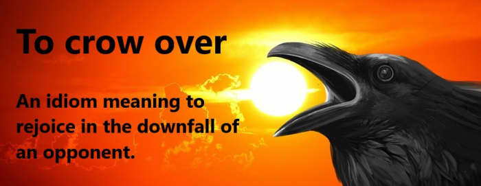 There is something of a paradox here when examining the crow's influence on people. Many consider this bird to be a harbinger of bad luck and death. While others believe the Crow represents life, mystery, and magic. This remarkable creature is also