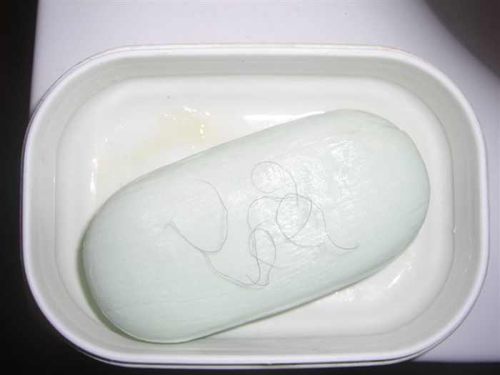 Why does Pubic Hair Get Everywhere HubPages