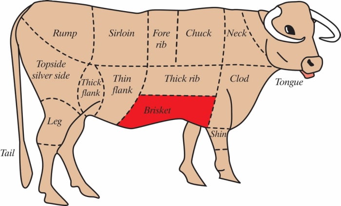 diagram-of-how-to-butcher-a-beef-cow-hubpages