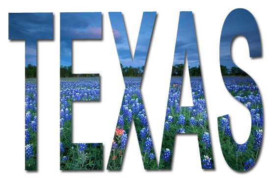 A picture I created in Photoshop using the word Texas and a beautiful picture of the field of Texas bluebonnets.