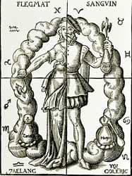 The four bodily fluids, yellow-bile, black bile, blood and phlegm -used in ancient times to analyze and describe a person's state of health.