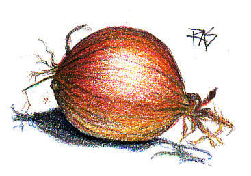 The finished Onion drawing, using Black, a little more Dark Brown and repeats of Red and Yellow layers. Robert A. Sloan, May 21, 2009.