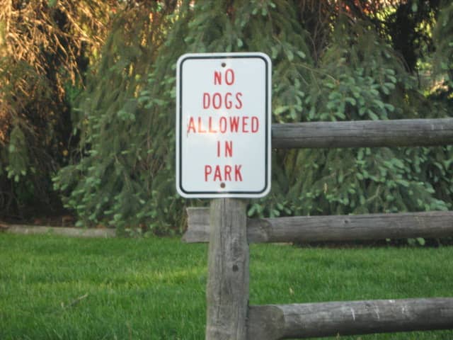 A different park on the northern end of Hinsdale surprising says "No Dogs" when there are so many in the community