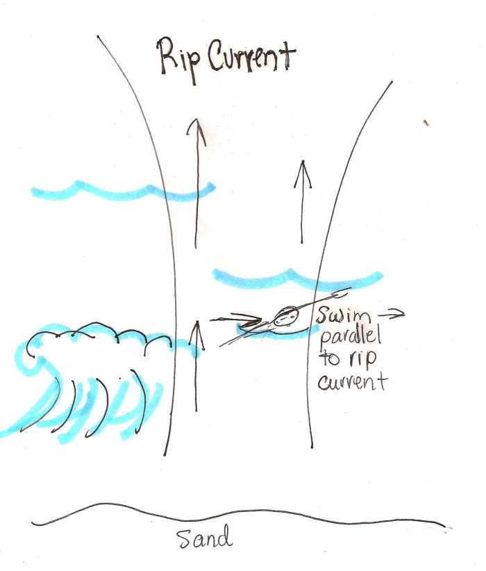 Rip current - if you find yourself being pulled out to sea by a rip current, swim parallel to the shore